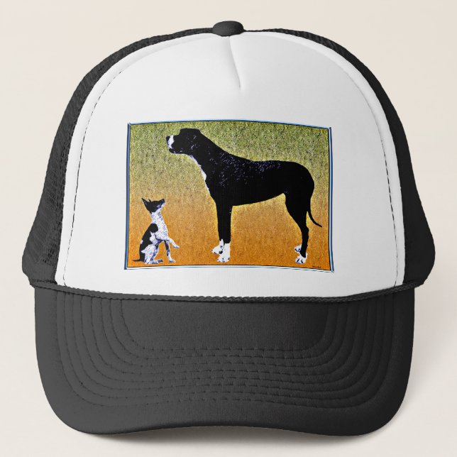 Gorra De Camionero Borde gráfico contemporáneo. (Anverso)