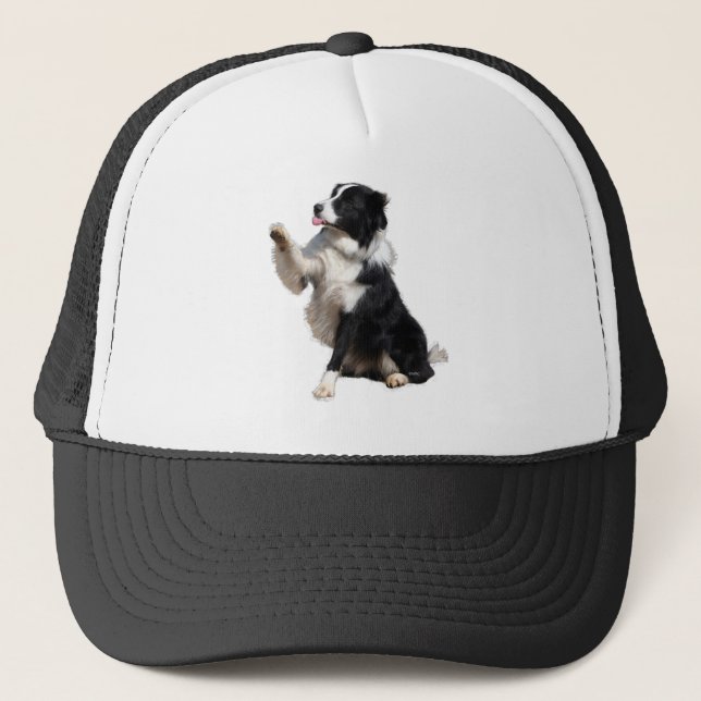 Gorra De Camionero border collie (Anverso)