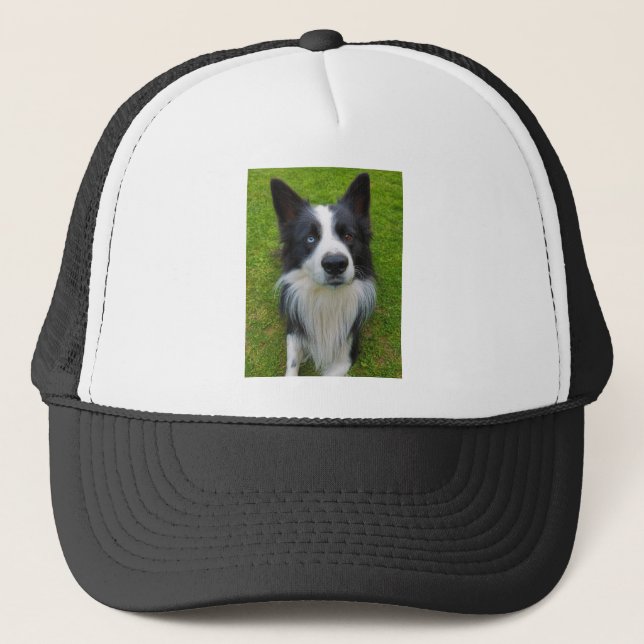Gorra De Camionero Border Collie (Anverso)
