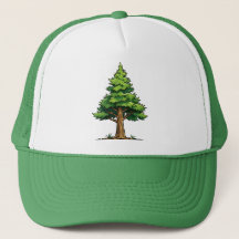 Bosque de hoja perenne