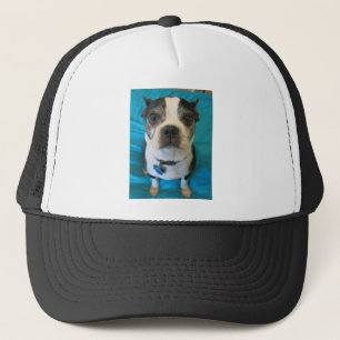 Gorra De Camionero Boston Terrier que se sienta en una cama