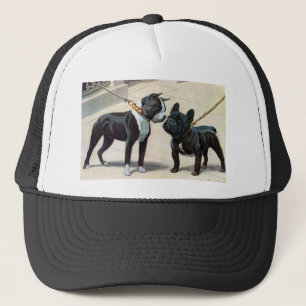Gorra De Camionero Boston Terrier y bulldog francés