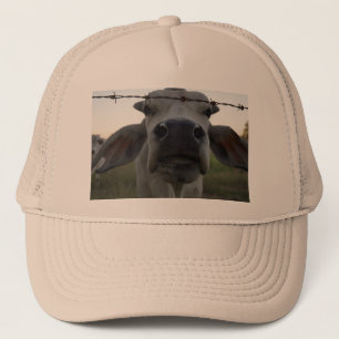 GORRA DE CAMIONERO BRAHMAN BULL EN AUSTRALIA RURAL