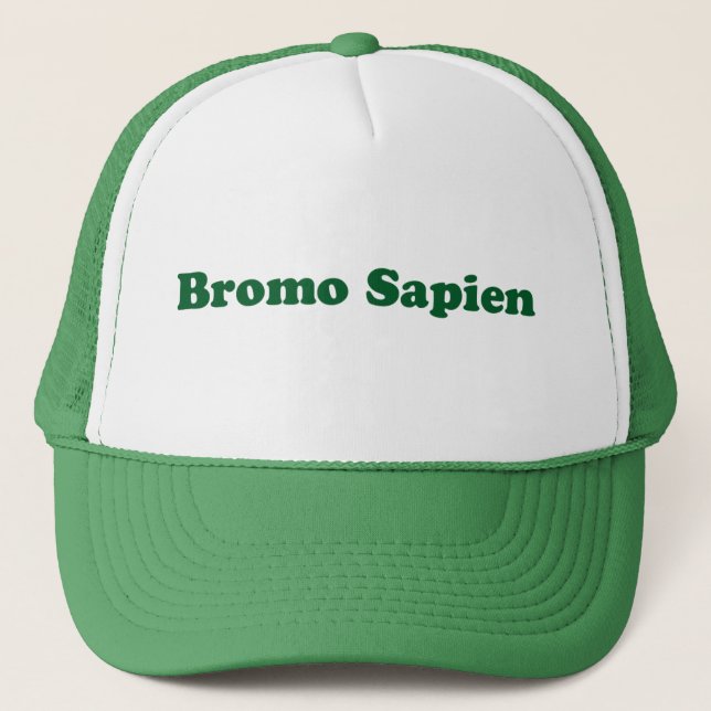 Gorra De Camionero Bromo Sapien (Anverso)