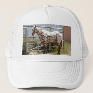 Gorra De Camionero Brown manchó el caballo del Appaloosa