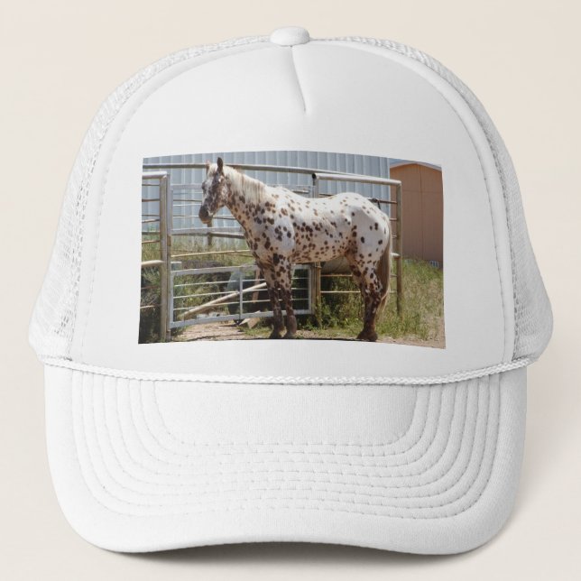 Gorra De Camionero Brown manchó el caballo del Appaloosa (Anverso)