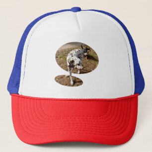 Gorra De Camionero Brown Sposted Dalmatian,