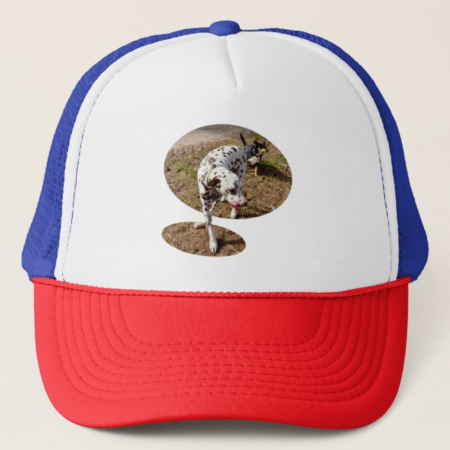 Gorra De Camionero Brown Sposted Dalmatian, (Anverso)