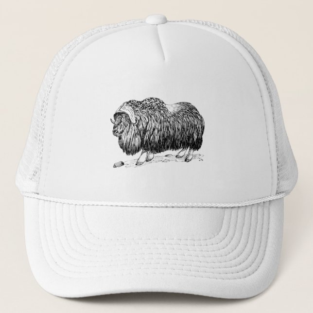 Gorra De Camionero Buey de almizcle (Anverso)