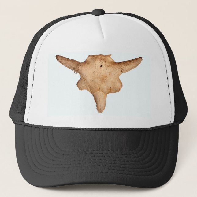 Gorra De Camionero Buffalo Skull (Anverso)