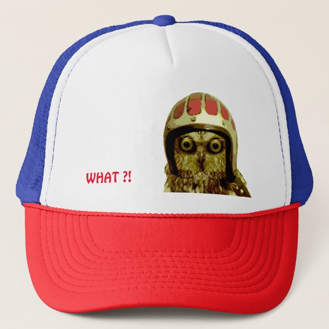 GORRA DE CAMIONERO BÚHO AMERICANO DEL MOTORISTA (Anverso)