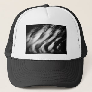 Gorra De Camionero buitres caídos