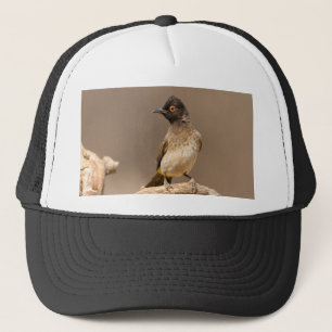 Gorra De Camionero Bulbul rojo africano