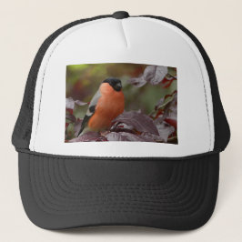 Gorra De Camionero Bull Finch