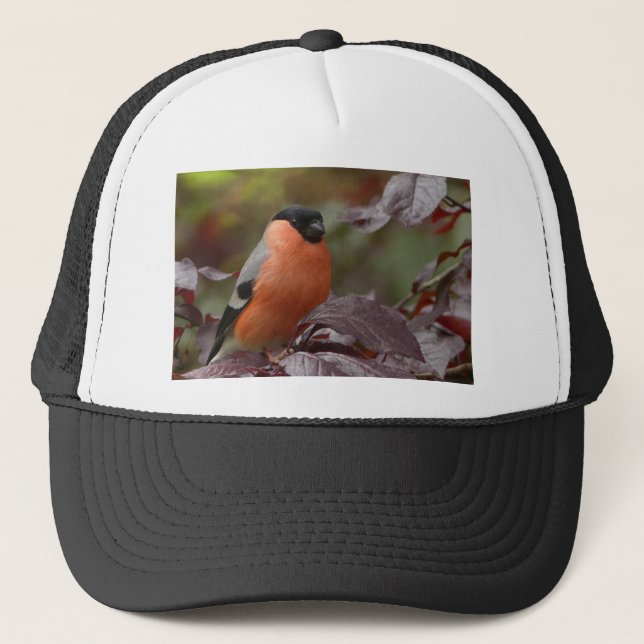 Gorra De Camionero Bull Finch (Anverso)