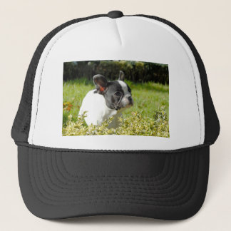 Gorra De Camionero Bulldog francés lindo sobre hierba