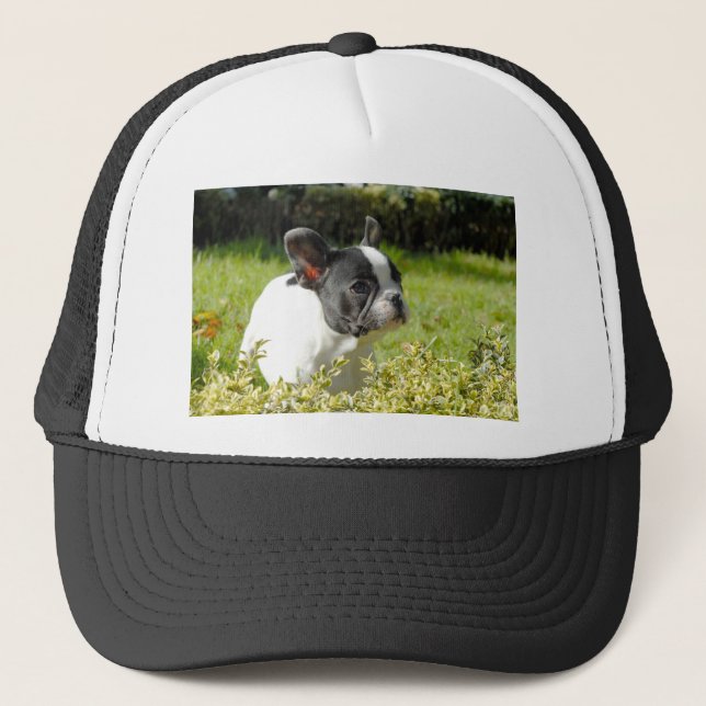 Gorra De Camionero Bulldog francés lindo sobre hierba (Anverso)