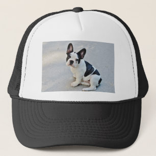 Gorra De Camionero bulldog francés sentado