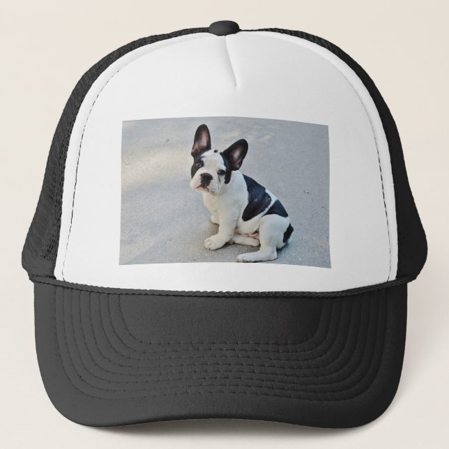 Gorra De Camionero bulldog francés sentado (Anverso)