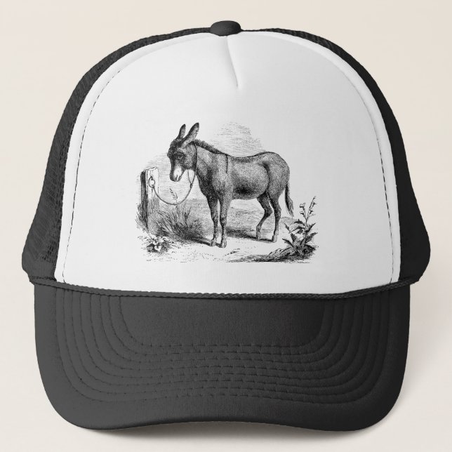 Gorra De Camionero Burros retros personalizados burro nacional del (Anverso)
