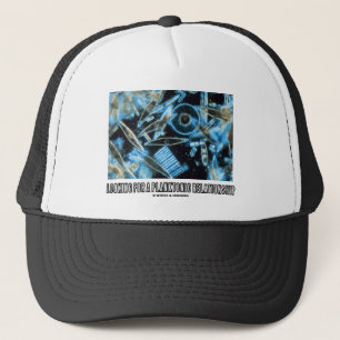 Gorra De Camionero Buscando una relación planctónica (diatomeas)
