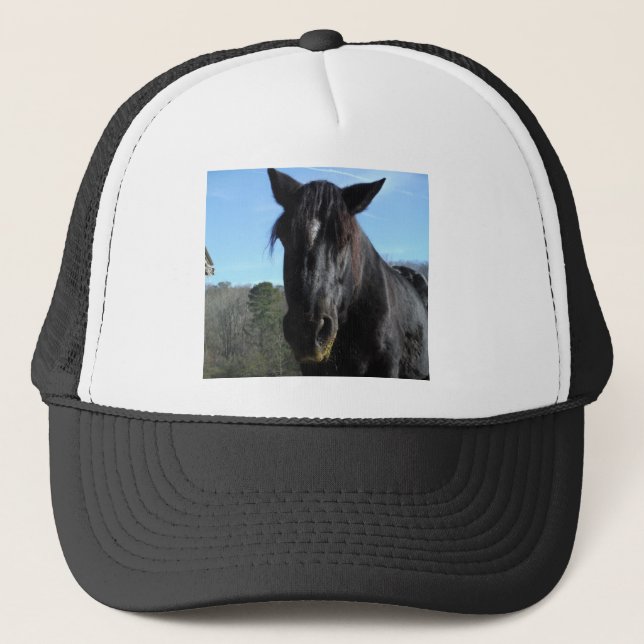 Gorra De Camionero Caballo de Borrador Negro rescatado (Anverso)