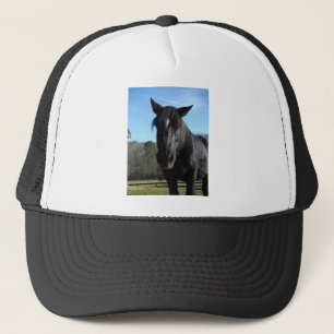 Gorra De Camionero Caballo de Borrador Negro rescatado