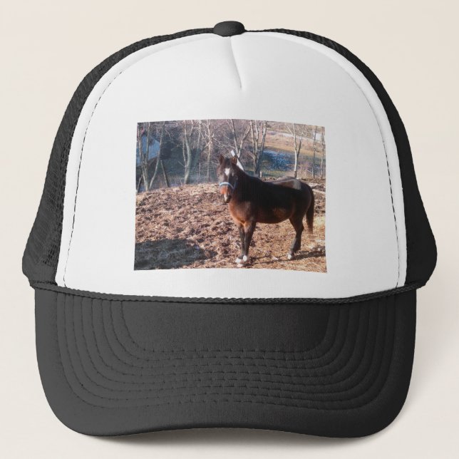 Gorra De Camionero Caballo de Brown (Anverso)