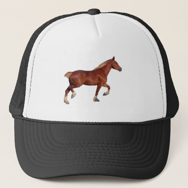 Gorra De Camionero Caballo de proyecto belga (Anverso)