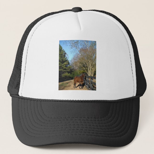 Gorra De Camionero Caballo marrón contra una cerca (Anverso)
