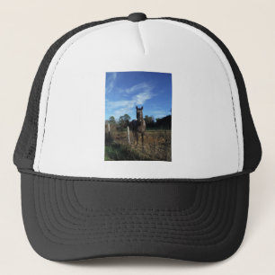 Gorra De Camionero Caballo marrón de chocolate lechoso en azul