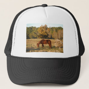 Gorra De Camionero Caballo marrón en campo de árbol amarillo