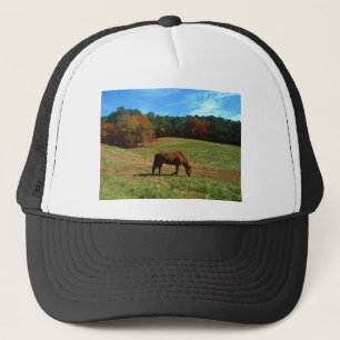 Gorra De Camionero Caballo marrón rojo, árboles caídos, cielos azules