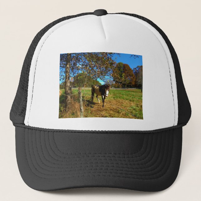 Gorra De Camionero Caballo pintado, (Anverso)