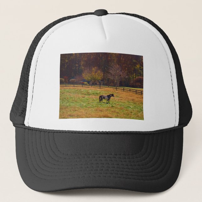 Gorra De Camionero Caballo pintado a lo lejos (Anverso)