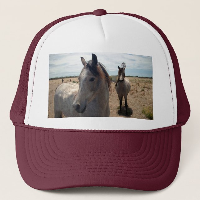 Gorra De Camionero Caballos Árabes Escaneados, (Anverso)