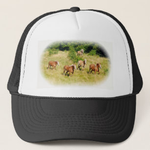 Gorra De Camionero Caballos de proyecto en campo