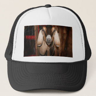 Gorra De Camionero Cabeza de la gama de Nubian en salir de la puerta