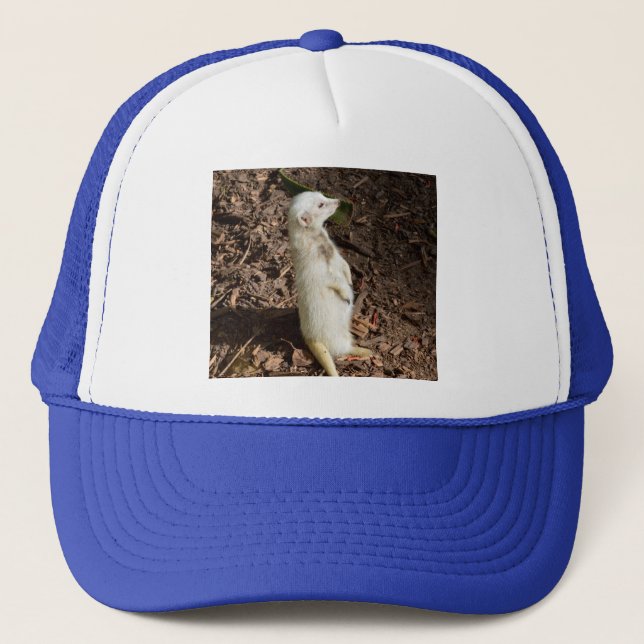 Gorra De Camionero Cabeza de Meerkat Blanco, (Anverso)