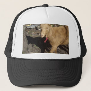 Gorra De Camionero Cabra de Brown