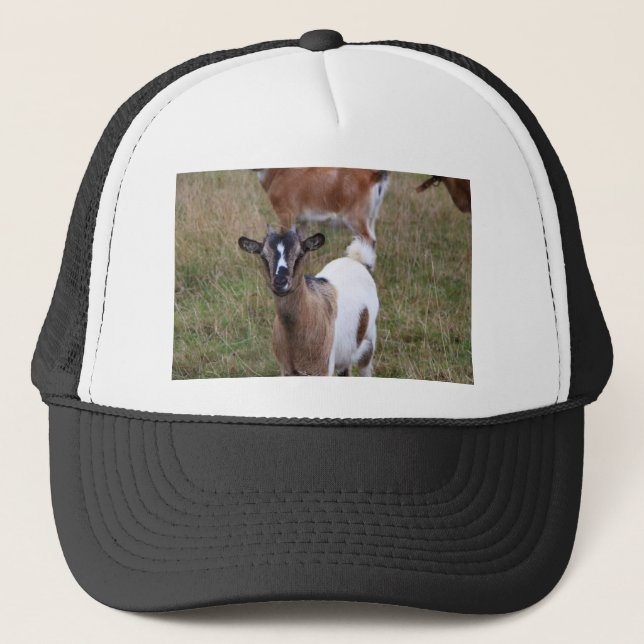 Gorra De Camionero Cabra en un campo (Anverso)