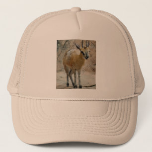 Gorra De Camionero Cabras salvajes