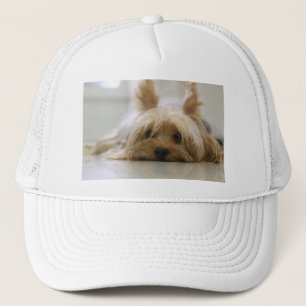 Gorra De Camionero cachorro de yorkshire terrier mascota cara ojos pe