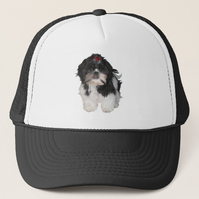 Gorra De Camionero Cachorros Shitzu Shih Tzu (Anverso)