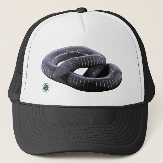 Gorra De Camionero Caecilian Trucker Hat (Anverso)