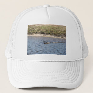 Gorra De Camionero Caimán nadando en el agua de Florida