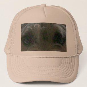 Gorra De Camionero cairn terrier eyes
