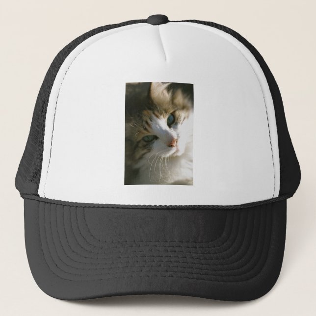 Gorra De Camionero Calico Tiger Cat (Anverso)