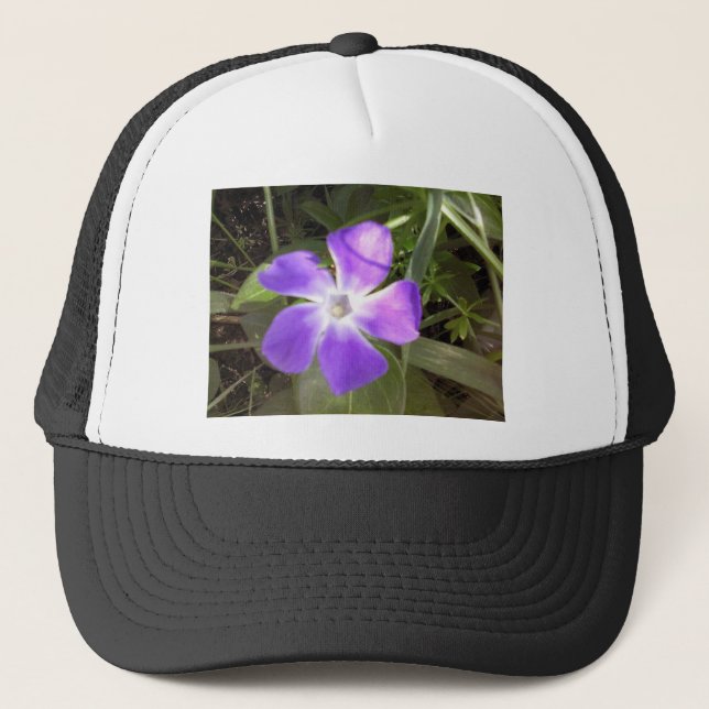 Gorra De Camionero California Wildflower (Anverso)