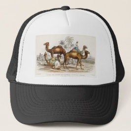 Gorra De Camionero Camello Bactriano, Camello Arábigo O Dromedary, Ca